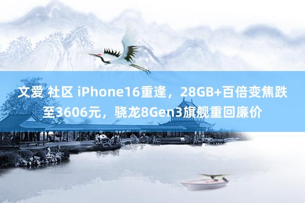 文爱 社区 iPhone16重逢,28GB+百倍变焦跌至3606元,骁龙8Gen3旗舰重回廉价