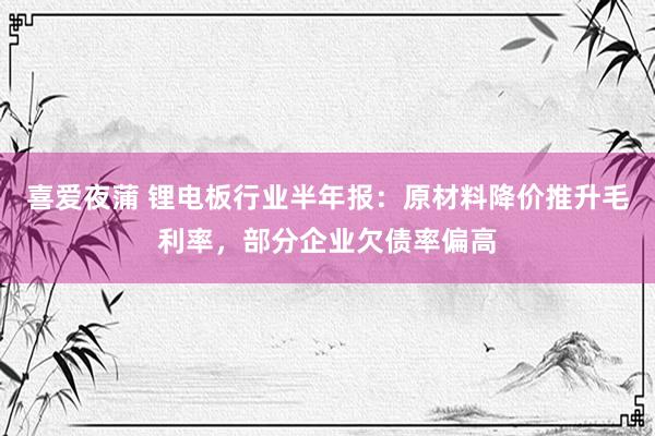 喜爱夜蒲 锂电板行业半年报:原材料降价推升毛利率,部分企业欠债率偏高