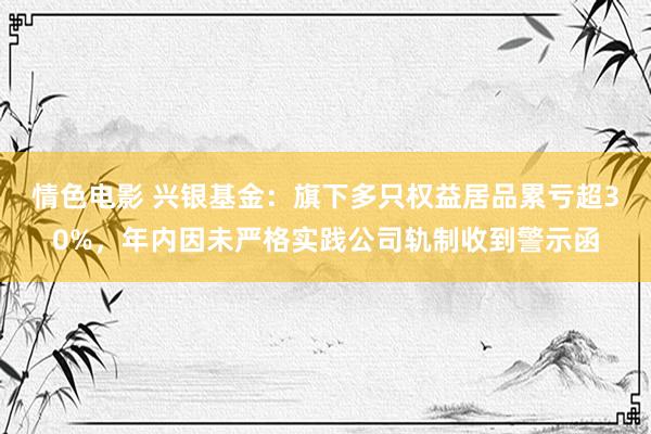 情色电影 兴银基金:旗下多只权益居品累亏超30%,年内因未严格实践公司轨制收到警示函
