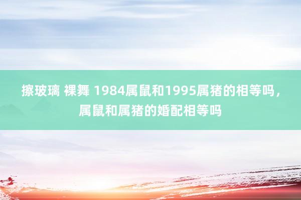 擦玻璃 裸舞 1984属鼠和1995属猪的相等吗,属鼠和属猪的婚配相等吗