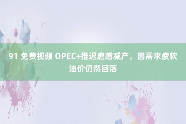 91 免费视频 OPEC+推迟磨蹭减产,因需求疲软油价仍然回落