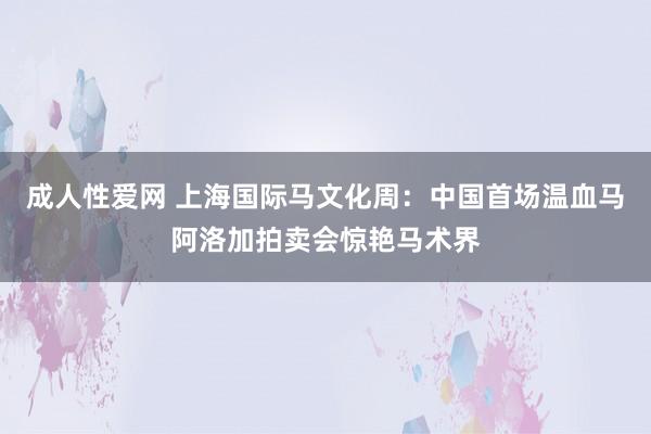 成人性爱网 上海国际马文化周:中国首场温血马阿洛加拍卖会惊艳马术界