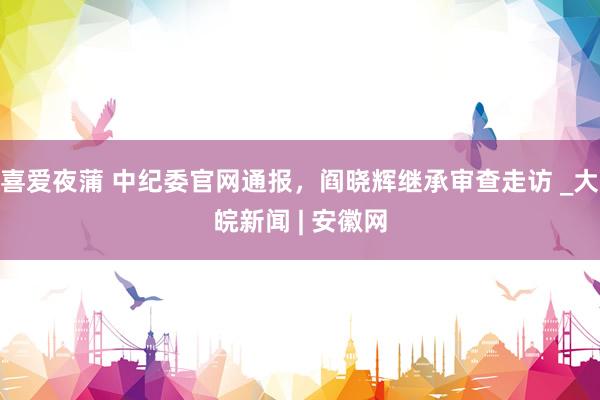 喜爱夜蒲 中纪委官网通报,阎晓辉继承审查走访 _大皖新闻 | 安徽网