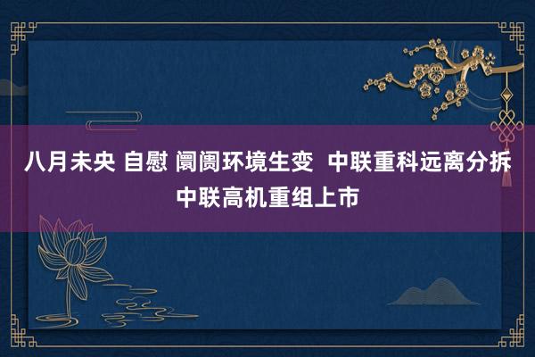 八月未央 自慰 阛阓环境生变 中联重科远离分拆中联高机重组上市