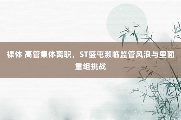裸体 高管集体离职,ST盛屯濒临监管风浪与里面重组挑战