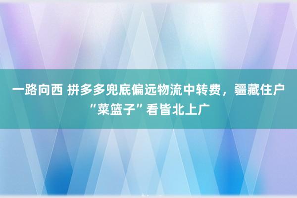 一路向西 拼多多兜底偏远物流中转费,疆藏住户“菜篮子”看皆北上广