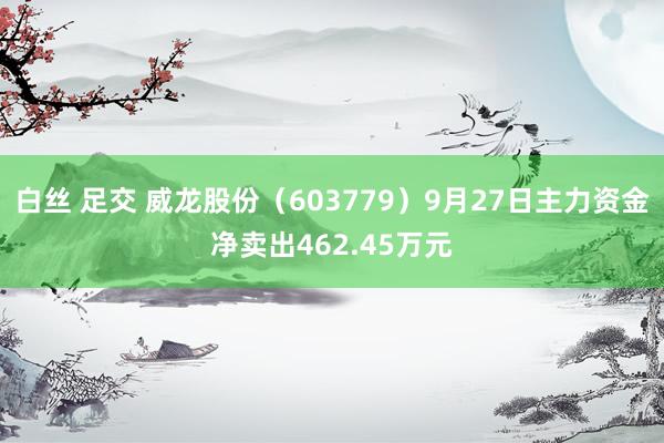 白丝 足交 威龙股份(603779)9月27日主力资金净卖出462.45万元