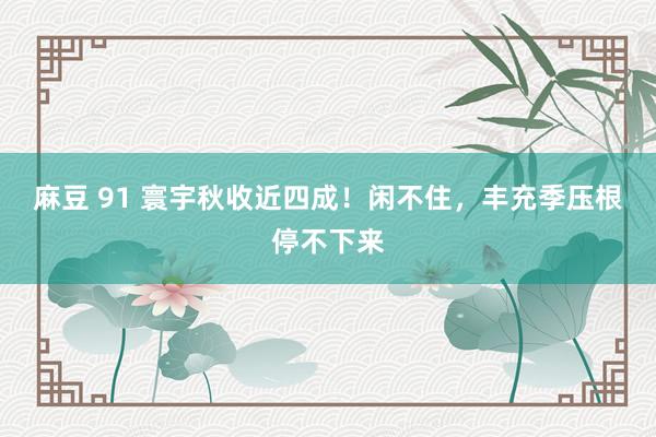 麻豆 91 寰宇秋收近四成!闲不住,丰充季压根停不下来