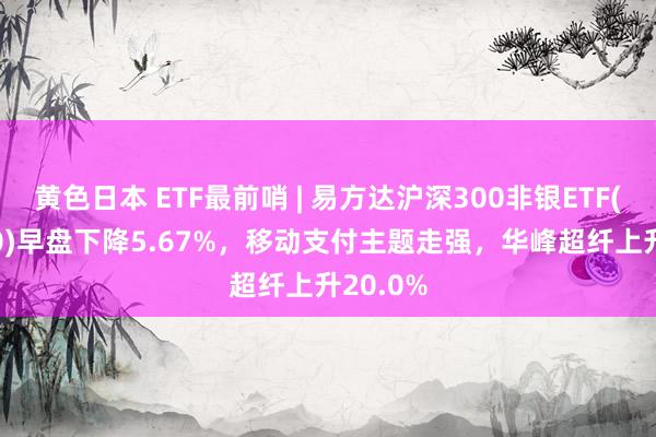 黄色日本 ETF最前哨 | 易方达沪深300非银ETF(512070)早盘下降5.67%,移动支付主题走强,华峰超纤上升20.0%