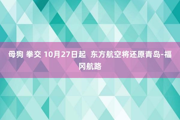 母狗 拳交 10月27日起 东方航空将还原青岛-福冈航路