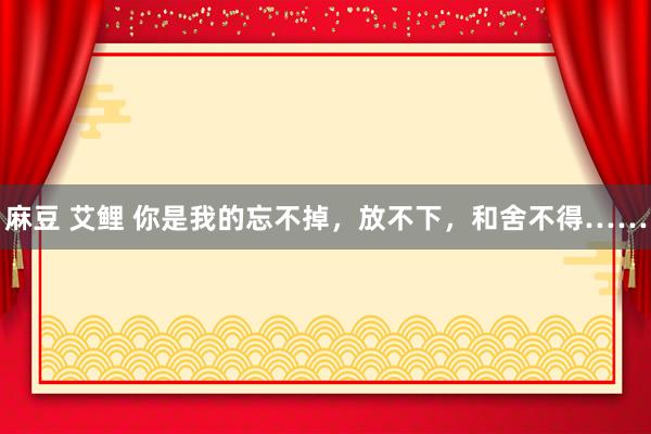 麻豆 艾鲤 你是我的忘不掉,放不下,和舍不得……
