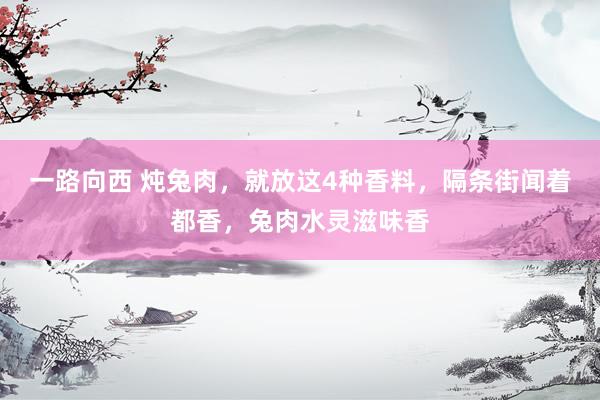 一路向西 炖兔肉,就放这4种香料,隔条街闻着都香,兔肉水灵滋味香