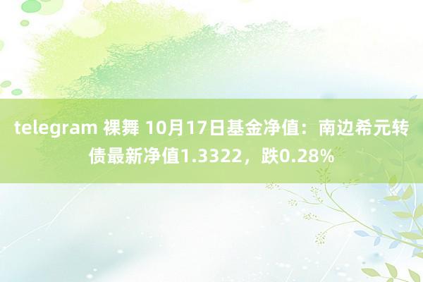 telegram 裸舞 10月17日基金净值:南边希元转债最新净值1.3322,跌0.28%