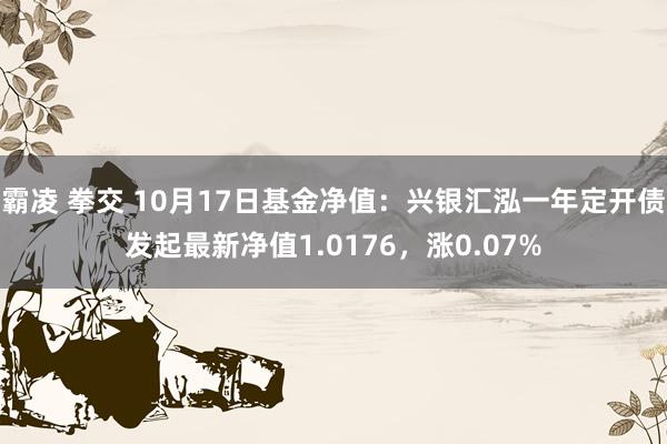 霸凌 拳交 10月17日基金净值:兴银汇泓一年定开债发起最新净值1.0176,涨0.07%