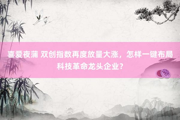 喜爱夜蒲 双创指数再度放量大涨,怎样一键布局科技革命龙头企业?