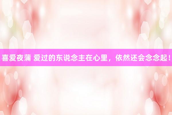 喜爱夜蒲 爱过的东说念主在心里,依然还会念念起!