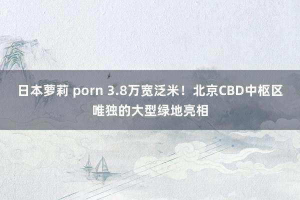 日本萝莉 porn 3.8万宽泛米!北京CBD中枢区唯独的大型绿地亮相