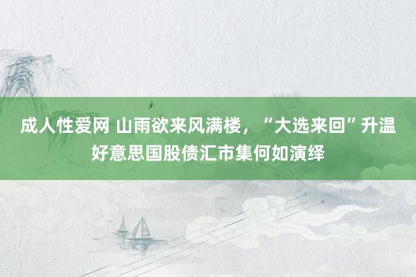 成人性爱网 山雨欲来风满楼，“大选来回”升温好意思国股债汇市集何如演绎