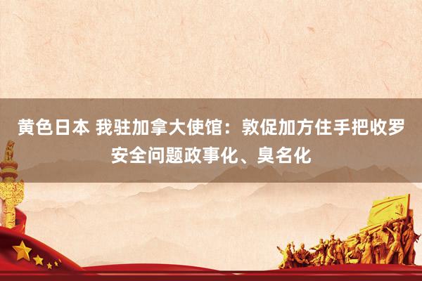 黄色日本 我驻加拿大使馆:敦促加方住手把收罗安全问题政事化、臭名化