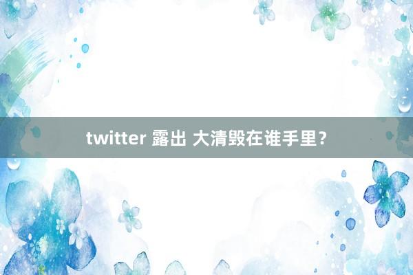 twitter 露出 大清毁在谁手里?