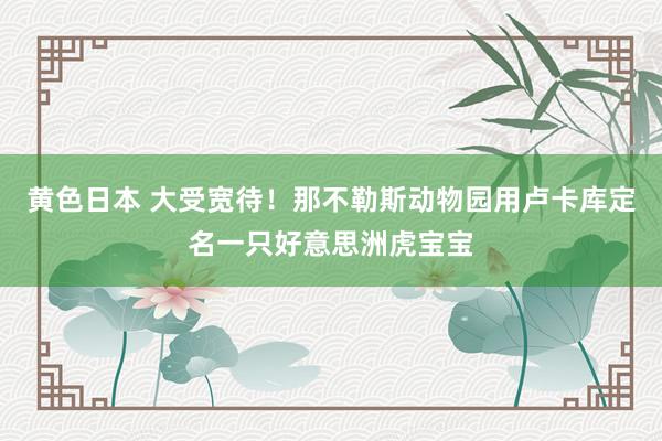 黄色日本 大受宽待!那不勒斯动物园用卢卡库定名一只好意思洲虎宝宝