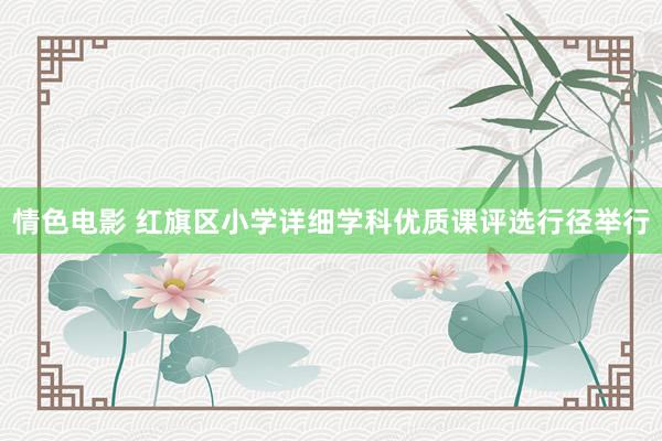 情色电影 红旗区小学详细学科优质课评选行径举行