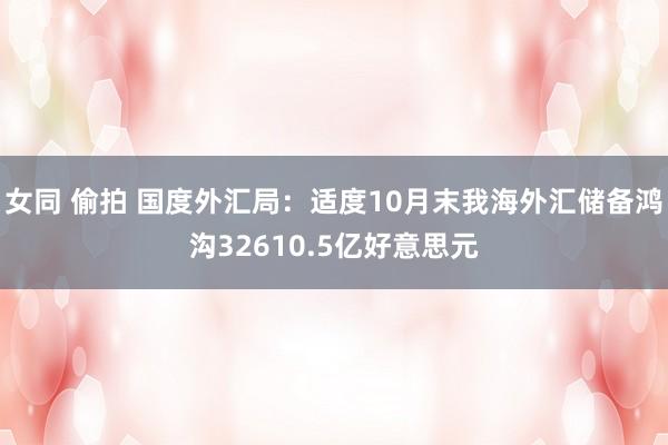 女同 偷拍 国度外汇局:适度10月末我海外汇储备鸿沟32610.5亿好意思元