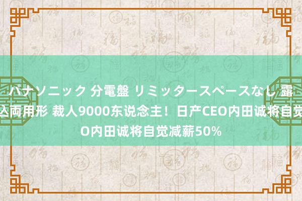 パナソニック 分電盤 リミッタースペースなし 露出・半埋込両用形 裁人9000东说念主！日产CEO内田诚将自觉减薪50%