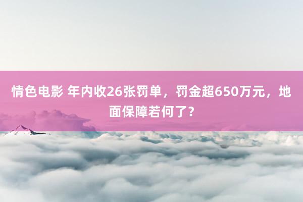 情色电影 年内收26张罚单,罚金超650万元,地面保障若何了?