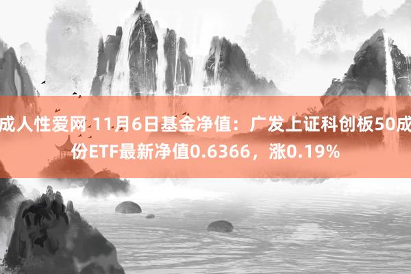 成人性爱网 11月6日基金净值:广发上证科创板50成份ETF最新净值0.6366,涨0.19%