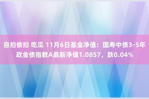自拍偷拍 吃瓜 11月6日基金净值:国寿中债3-5年政金债指数A最新净值1.0857,跌0.04%