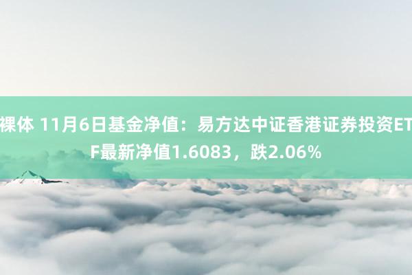 裸体 11月6日基金净值:易方达中证香港证券投资ETF最新净值1.6083,跌2.06%