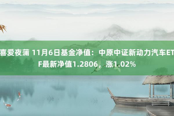 喜爱夜蒲 11月6日基金净值：中原中证新动力汽车ETF最新净值1.2806，涨1.02%