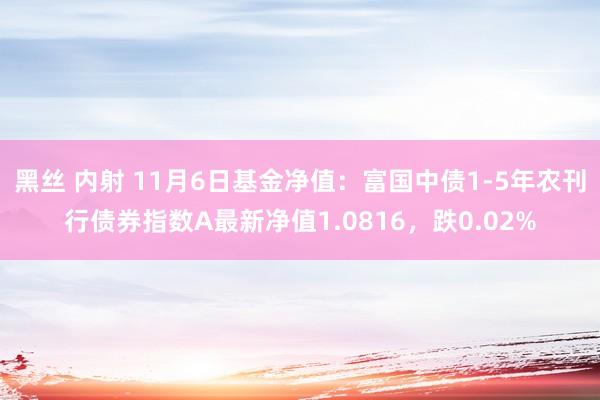 黑丝 内射 11月6日基金净值:富国中债1-5年农刊行债券指数A最新净值1.0816,跌0.02%