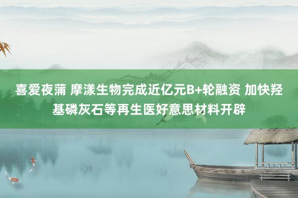 喜爱夜蒲 摩漾生物完成近亿元B+轮融资 加快羟基磷灰石等再生医好意思材料开辟