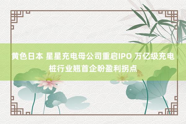 黄色日本 星星充电母公司重启IPO 万亿级充电桩行业翘首企盼盈利拐点