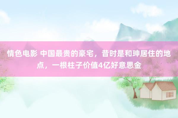 情色电影 中国最贵的豪宅，昔时是和珅居住的地点，一根柱子价值4亿好意思金