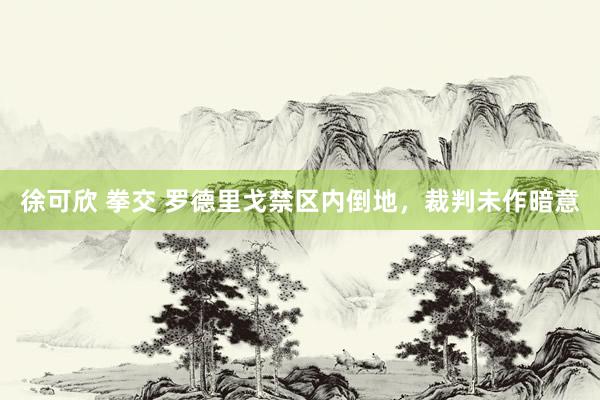 徐可欣 拳交 罗德里戈禁区内倒地，裁判未作暗意