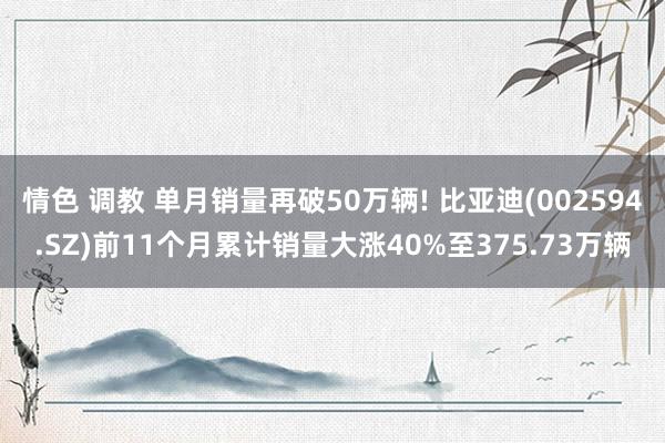 情色 调教 单月销量再破50万辆! 比亚迪(002594.SZ)前11个月累计销量大涨40%至375.73万辆