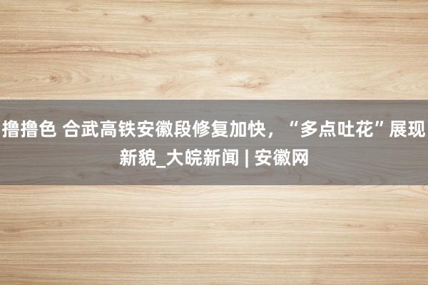 撸撸色 合武高铁安徽段修复加快,“多点吐花”展现新貌_大皖新闻 | 安徽网