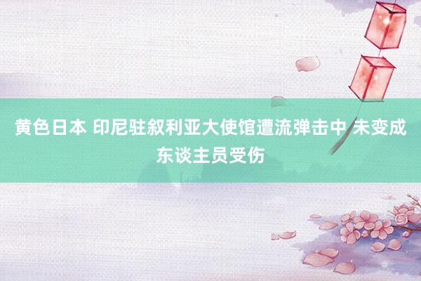 黄色日本 印尼驻叙利亚大使馆遭流弹击中 未变成东谈主员受伤