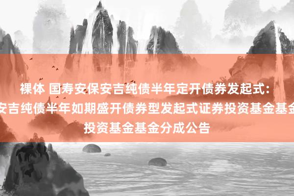 裸体 国寿安保安吉纯债半年定开债券发起式: 国寿安保安吉纯债半年如期盛开债券型发起式证券投资基金基金分成公告
