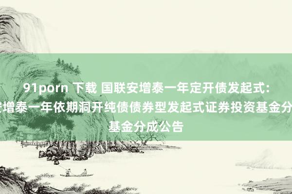 91porn 下载 国联安增泰一年定开债发起式: 国联安增泰一年依期洞开纯债债券型发起式证券投资基金分成公告