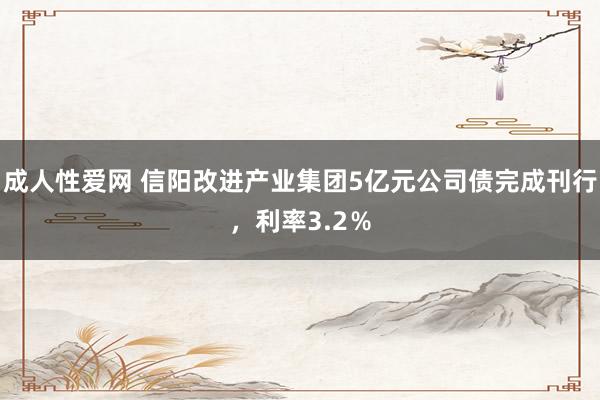 成人性爱网 信阳改进产业集团5亿元公司债完成刊行，利率3.2％