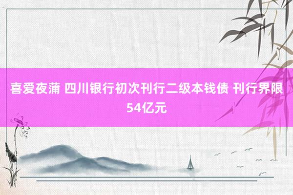 喜爱夜蒲 四川银行初次刊行二级本钱债 刊行界限54亿元