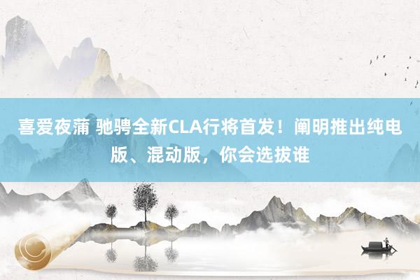 喜爱夜蒲 驰骋全新CLA行将首发!阐明推出纯电版、混动版,你会选拔谁
