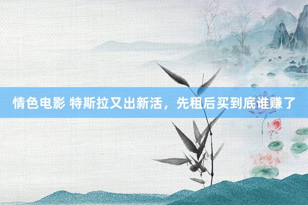 情色电影 特斯拉又出新活,先租后买到底谁赚了