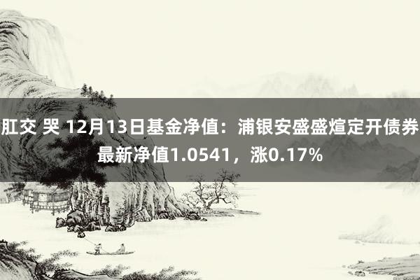 肛交 哭 12月13日基金净值：浦银安盛盛煊定开债券最新净值1.0541，涨0.17%