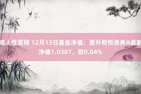 成人性爱网 12月13日基金净值：惠升和悦债券A最新净值1.0307，跌0.04%