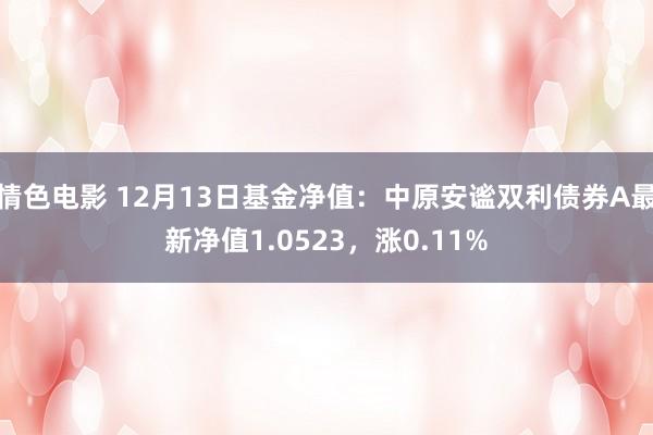 情色电影 12月13日基金净值：中原安谧双利债券A最新净值1.0523，涨0.11%